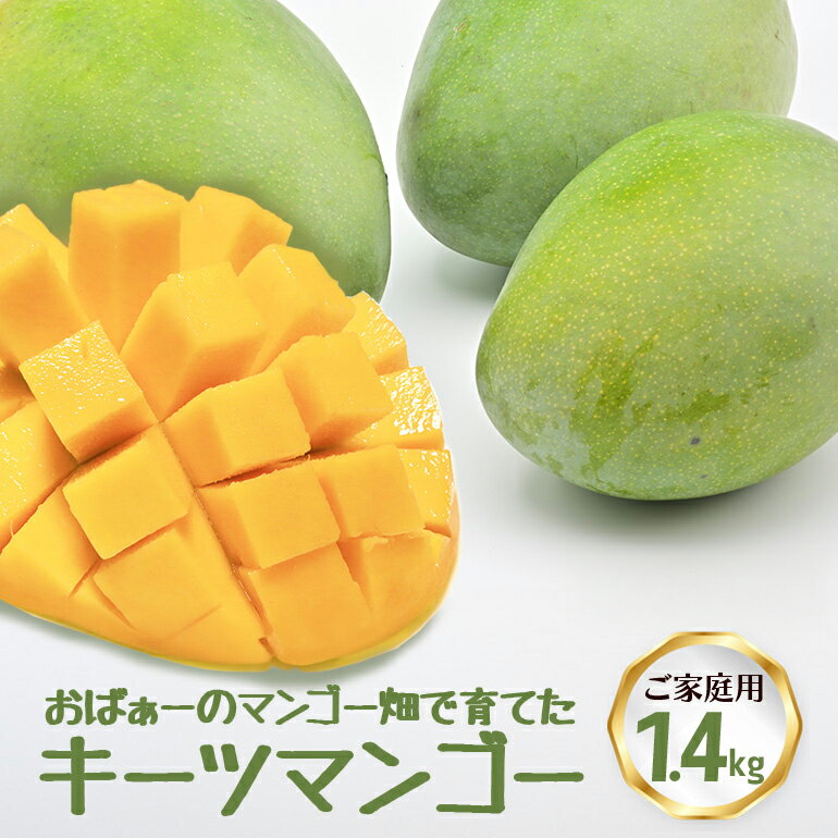 【 先行予約 2026年 発送 】 おばぁーのマンゴー畑で育てた キーツマンゴー (ご家庭用) 沖縄県産 マンゴー 1.4kg マンゴー 国産 果物 くだもの フルーツ 夏 旬 特産品 沖縄 お取り寄せ 名産品 お土産 甘い 濃厚 糸満市 家庭用 緑色 幻のマンゴー 送料無料