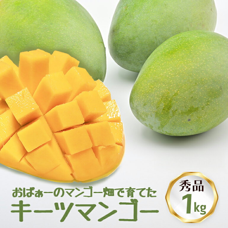 【先行予約 2026年 発送】おばぁーのマンゴー畑で育てた マンゴー 秀品 沖縄県産 マンゴー 1kg キーツマンゴー 国産 果物 南国 くだもの フルーツ 夏 旬 特産品 沖縄 お取り寄せ 名産品 お土産 甘い 濃厚 贈答用 緑色 緑 幻のマンゴー 糸満市 送料無料