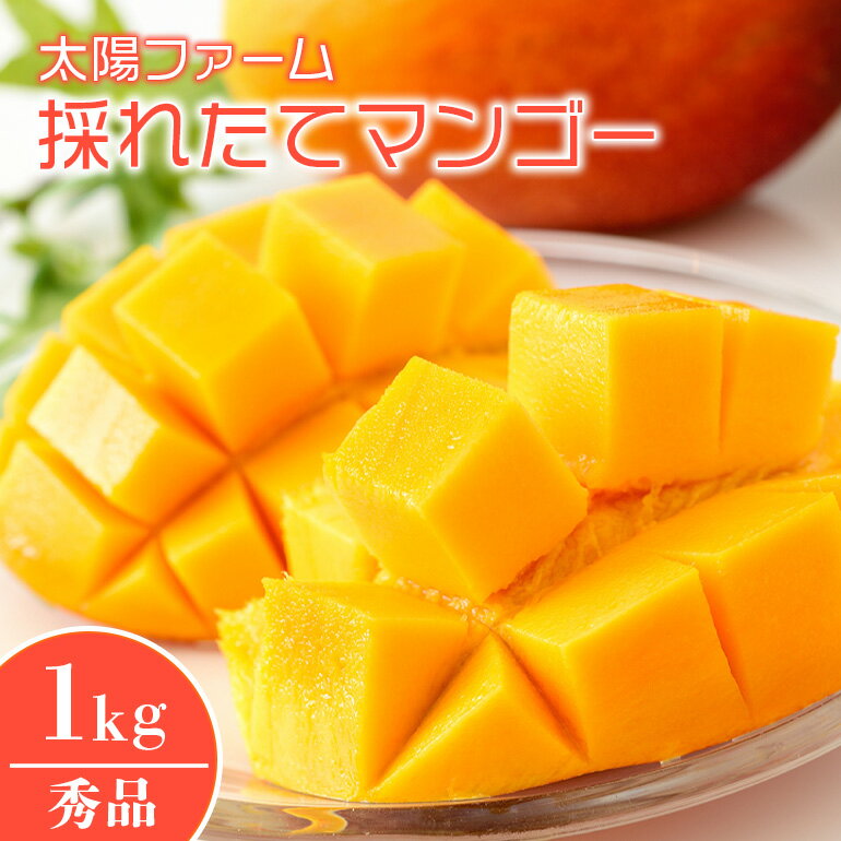 【 先行予約 2026年 発送 】太陽ファームの採れたて マンゴー 1kg ( 秀品 ) 沖縄県産 マンゴー アップルマンゴー アーウィンマンゴー 1キロ 国産 完熟マンゴー 果物 くだもの フルーツ 完熟 夏 沖縄 お取り寄せ ギフト 産地直送 農家直送 糸満市 送料無料