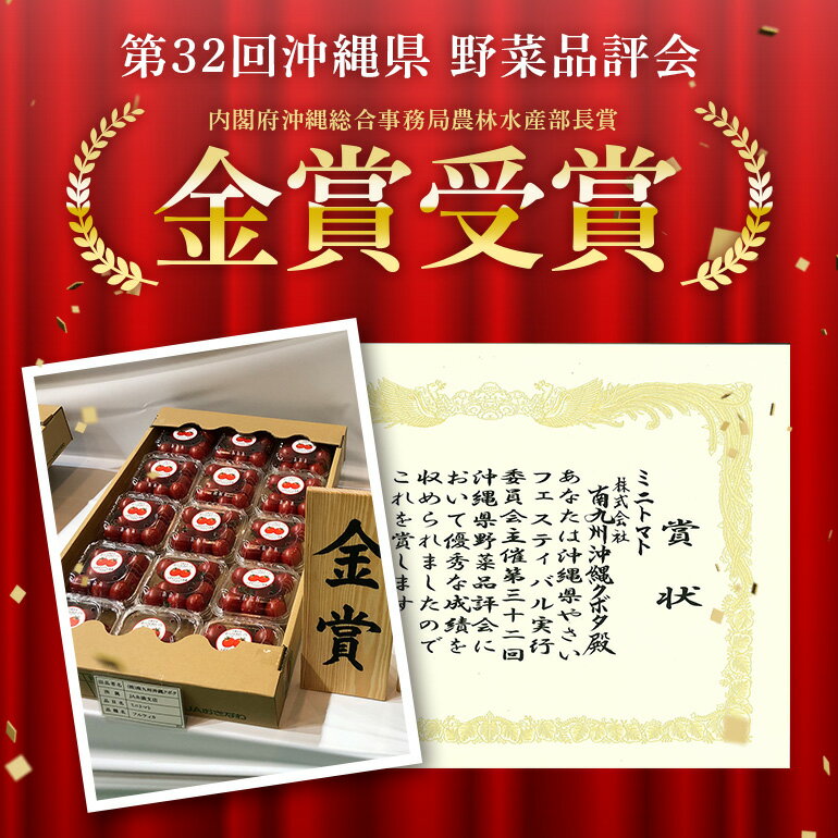 【ふるさと納税】クボタファーム 糸満産 フルティカトマト 約 1.2kg ( 150g × 8p入り) トマト ミニトマト 8パック フルティカ フルーツ 甘い 沖縄 野菜 濃い味 中玉トマト リコピン ビタミンC 産地直送 農園直送 プチトマト 沖縄県 糸満市 送料無料 - 画像3