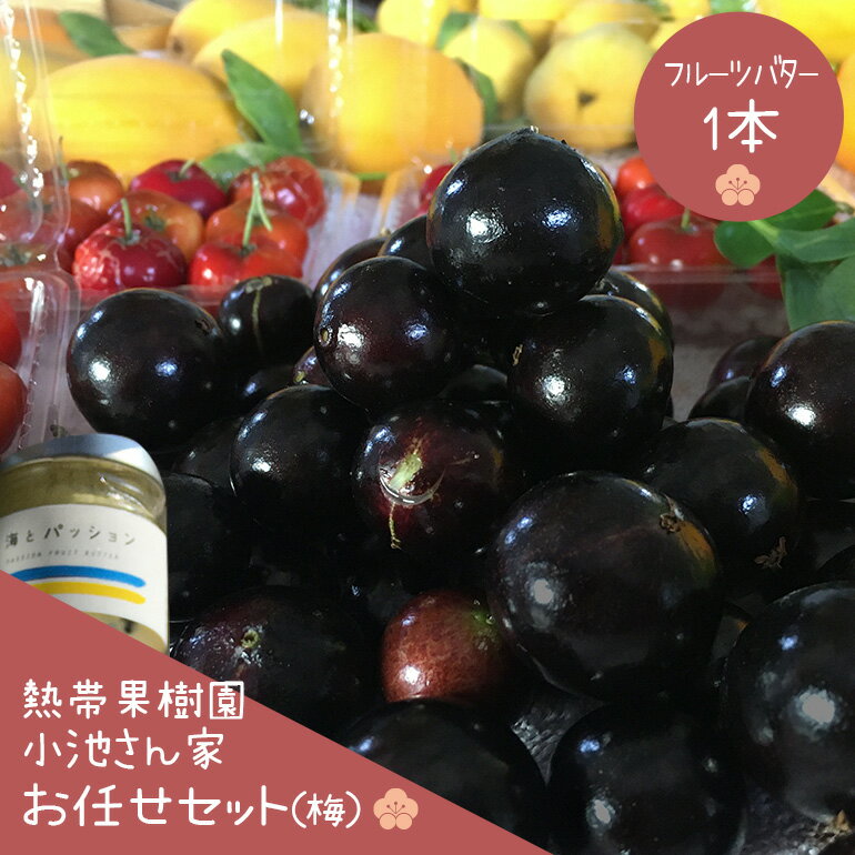 【先行予約 2026年 発送】熱帯果樹園小池さん家 お任せ セット （梅） フルーツバター 大瓶 1個入り 沖縄 旬 フルーツ 薬味 ハーブ 野菜 ナッツ お任せセット 果物 バター 詰め合わせ パッションフルーツ マンゴー ライチ 旬の果物 おまかせ 送料無料