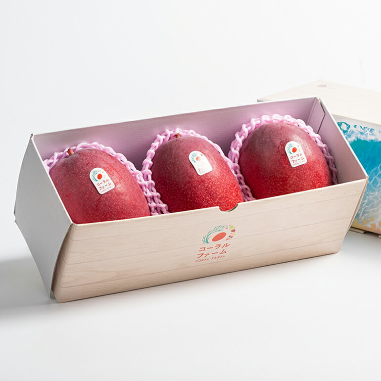 【ふるさと納税】【 先行予約 2026年 発送 】コーラルファーム アップルマンゴー 1kg (2〜3玉) 優品 沖縄県産 マンゴー アーウィンマンゴー 1キロ 国産 完熟マンゴー 果物 くだもの フルーツ 完熟 夏 沖縄 お取り寄せ ギフト 産地直送 農家直送 糸満市 送料無料 サムネイル2