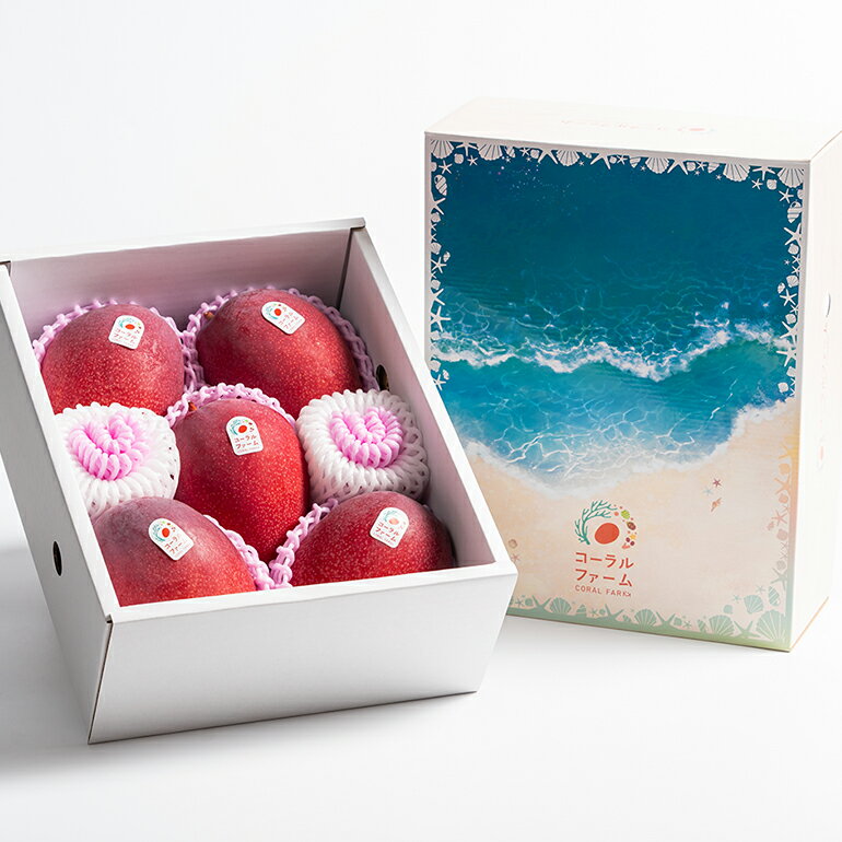 【ふるさと納税】【 先行予約 2026年 発送 】コーラルファーム アップルマンゴー 2kg (4〜6玉) 秀品 沖縄県産 マンゴー アーウィンマンゴー 2キロ 国産 完熟マンゴー 果物 くだもの フルーツ 完熟 夏 沖縄 お取り寄せ ギフト 産地直送 農家直送 糸満市 送料無料 サムネイル2