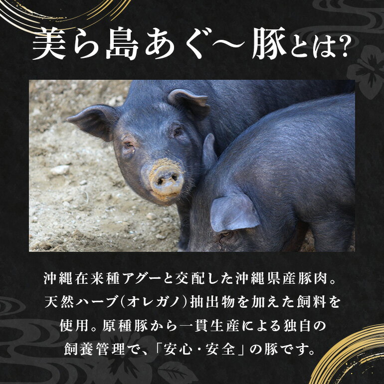 【ふるさと納税】 美ら島 あぐー豚 生ハム 選べる 350g 700g 1050g 1400g (70g×5～20パック) 小分け アグー豚 国産 大容量 冷凍 長期保存 おかず お酒 ワイン おつまみ 惣菜 ブランド豚 高級 贅沢 サラダ 豚肉 もも肉 モモ肉 絶品 簡易包装 お手軽 簡単調理 おいしい サムネイル3
