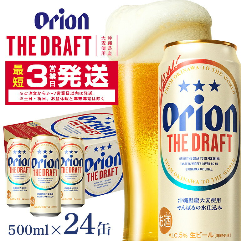オリオンビール ＜ オリオン ザ・ドラフト ＞ 500ml × 24缶 1ケース 24本 500 クラフトビール 沖縄 ビール BEER ドラフト 生ビール オリオン orion お酒 缶ビール 地ビール 箱買い まとめ買い アルコール 度数 5％ ギフト 冬ギフト お歳暮 缶 送料無料
