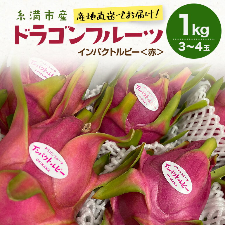 【2026年発送】糸満市産 「ドラゴンフルーツ インパクトルビー 赤」1kg (3～4玉) 国産 産地直送 果実 果物 くだもの フルーツ 贈り物 贈答品 お取り寄せ トロピカルフルーツ 旬 あっさり 厳選 常温 ピタヤ 火龍果 南国 沖縄産 沖縄県 糸満市