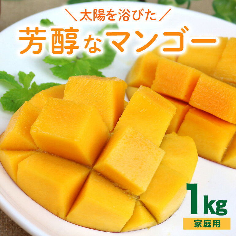 【 先行予約 2026年 発送】 沖縄の太陽を浴びた芳醇なマンゴー 1kg ( ご家庭用 ) 沖縄県産 マンゴー アップルマンゴー アーウィンマンゴー 国産 完熟マンゴー 果物 南国 くだもの フルーツ 完熟 夏 旬 沖縄 お取り寄せ 産地直送 農家直送 糸満市 送料無料