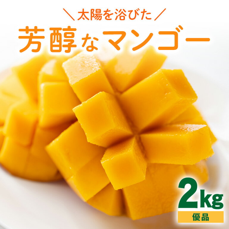 【 先行予約 2026年 発送】 沖縄の太陽を浴びた芳醇なマンゴー 2kg ( 優品 ) 沖縄県産 マンゴー アップルマンゴー アーウィンマンゴー 2キロ 国産 完熟マンゴー 果物 南国 くだもの フルーツ 完熟 夏 旬 沖縄 お取り寄せ 産地直送 農家直送 糸満市 送料無料