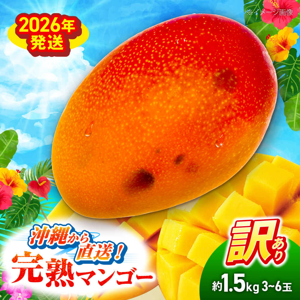 【訳あり】【先行予約】完熟マンゴー 約1.5kg (3〜6玉入) マンゴー 沖縄 果物 フルーツ ギフト 予約受付 沖縄市 / ちゃんぷる〜市場 [BCAA001]