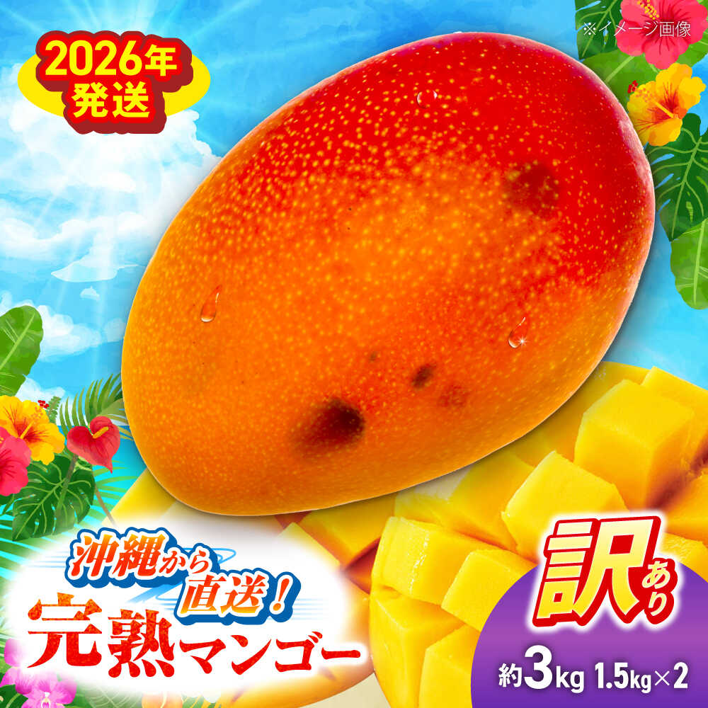【先行予約 2026年発送 予約受付】訳あり 完熟マンゴー 約3kg ( 約1.5kg (3〜6玉) ×2箱 ) マンゴー 沖縄 果物 フルーツ ギフト 沖縄市 / ちゃんぷる〜市場 [BCAA003]