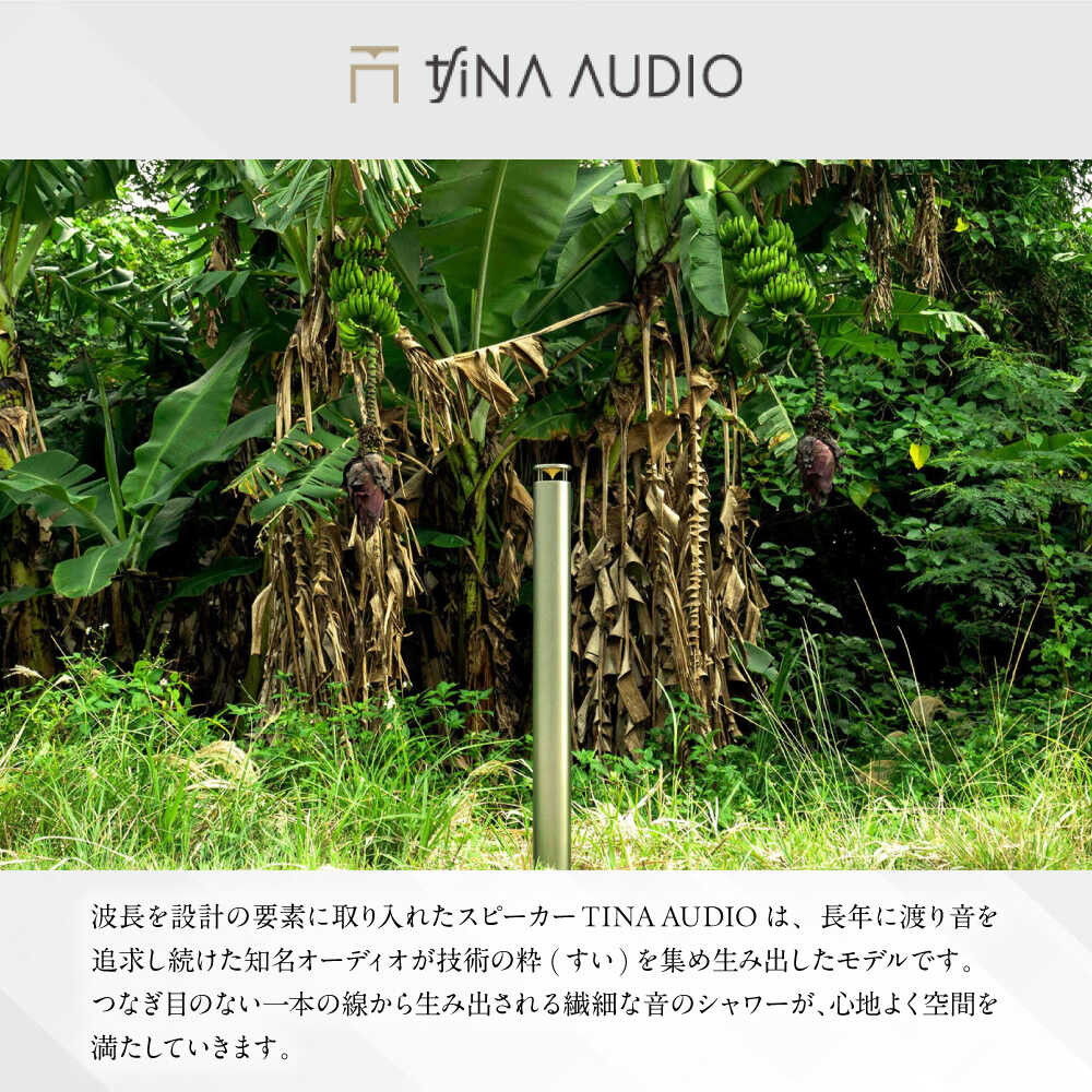 【ふるさと納税】知名オーディオ TINA AUDIO 2.0 スピーカー＆アンプセット スピーカー サウンドバー 高音質 おすすめ おしゃれ 沖縄市 / 有限会社知名御多出横 [BCAB003] サムネイル2