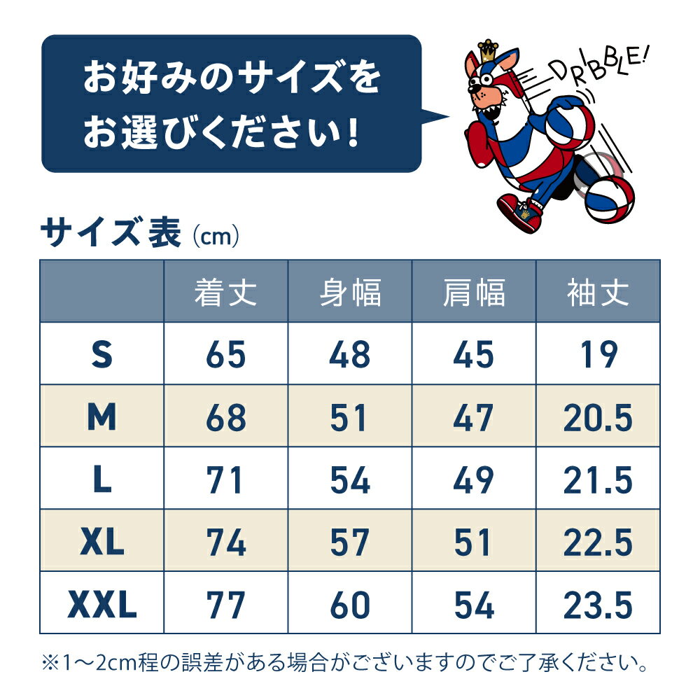 【ふるさと納税】琉球ゴールデンキングス KINGS テキストロゴ ドライTシャツ (S〜XXLサイズ) Tシャツ 半袖 スポーツ ドライ メンズ レディース 沖縄市 / 琉球ゴールデンキングス [BCBG002] サムネイル2