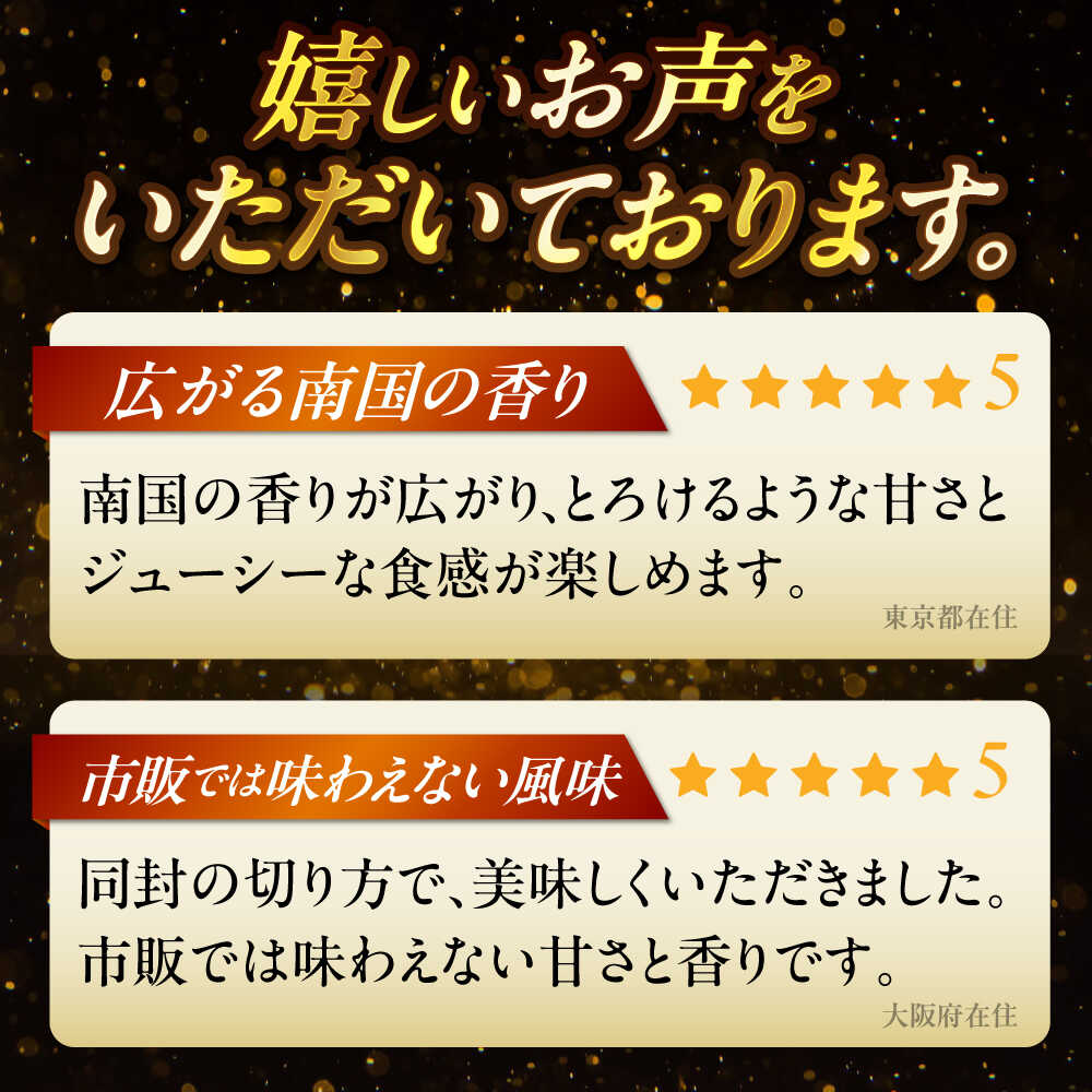 【ふるさと納税】【先行予約 2026年発送 予約受付】【贈答用】仲村農園の完熟アップルマンゴー (1kg or 2kg) マンゴー 沖縄 果物 フルーツ ギフト 沖縄市 / 仲村農園 サムネイル2