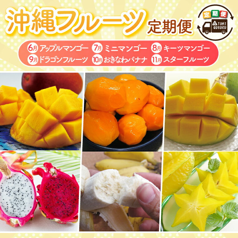 【2026年6月より順次発送】【6ヶ月定期便】沖縄フルーツ定期便(6～11月コース)｜フルーツ くだもの 果物 スターフルーツ マンゴー アップルマンゴー ミニマンゴー キーツマンゴー ドラゴンフルーツ バナナ 名護パイン園 定期便 沖縄県 豊見城市(AC019)