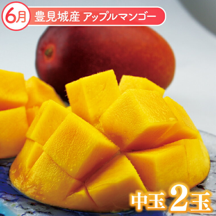 【ふるさと納税】【2026年6月より順次発送】【6ヶ月定期便】沖縄フルーツ定期便(6～11月コース)｜フルーツ くだもの 果物 スターフルーツ マンゴー アップルマンゴー ミニマンゴー キーツマンゴー ドラゴンフルーツ バナナ 名護パイン園 定期便 沖縄県 豊見城市(AC019) サムネイル2