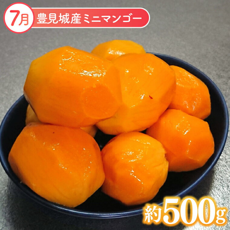 【ふるさと納税】【2026年6月より順次発送】【6ヶ月定期便】沖縄フルーツ定期便(6～11月コース)｜フルーツ くだもの 果物 スターフルーツ マンゴー アップルマンゴー ミニマンゴー キーツマンゴー ドラゴンフルーツ バナナ 名護パイン園 定期便 沖縄県 豊見城市(AC019) サムネイル3