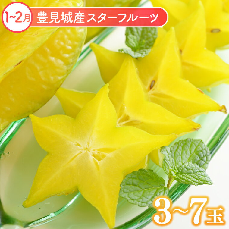 【ふるさと納税】【6回定期便】人気！沖縄フルーツ定期便(年6回)｜フルーツ 果物 くだもの マンゴー キーツマンゴー アップルマンゴー パッションフルーツ スターフルーツ ドラゴンフルーツ バナナ 完熟 沖縄フルーツ 沖縄 沖縄県 人気 名護パイン園 定期便 送料無料(AC020) サムネイル2