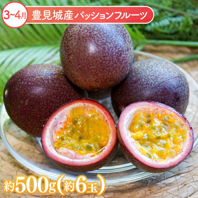 【ふるさと納税】【6回定期便】人気！沖縄フルーツ定期便(年6回)｜フルーツ 果物 くだもの マンゴー キーツマンゴー アップルマンゴー パッションフルーツ スターフルーツ ドラゴンフルーツ バナナ 完熟 沖縄フルーツ 沖縄 沖縄県 人気 名護パイン園 定期便 送料無料(AC020) サムネイル3