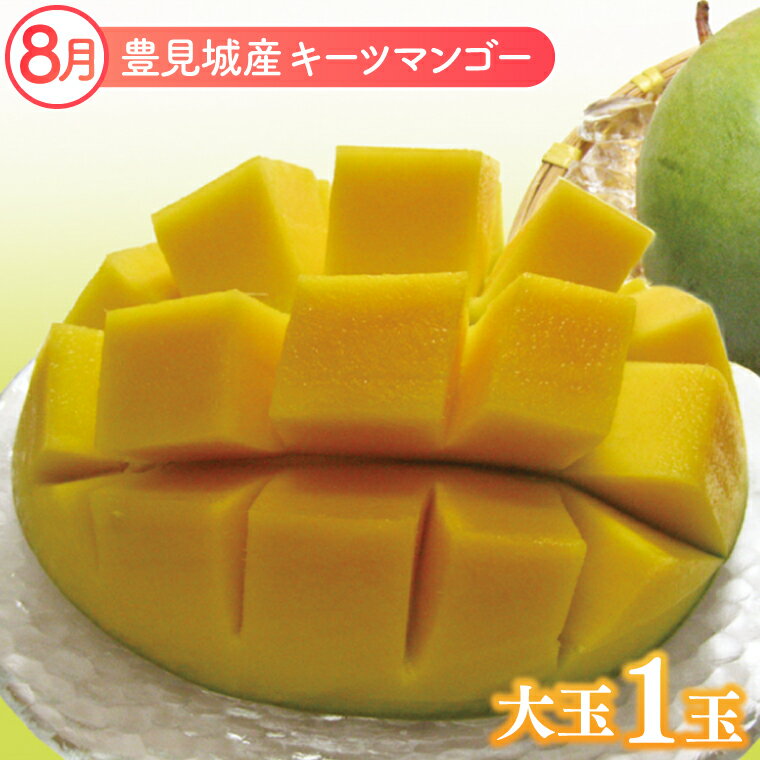 【ふるさと納税】【先行予約】【2026年7月より順次発送】【3ヶ月定期便】沖縄フルーツ定期便(7・8・9月コース)｜フルーツ くだもの 果物 マンゴー キーツマンゴー ドラゴンフルーツ 名護パイン園 定期便 フルーツ定期便 先行予約 沖縄県 豊見城市(AC021) サムネイル3