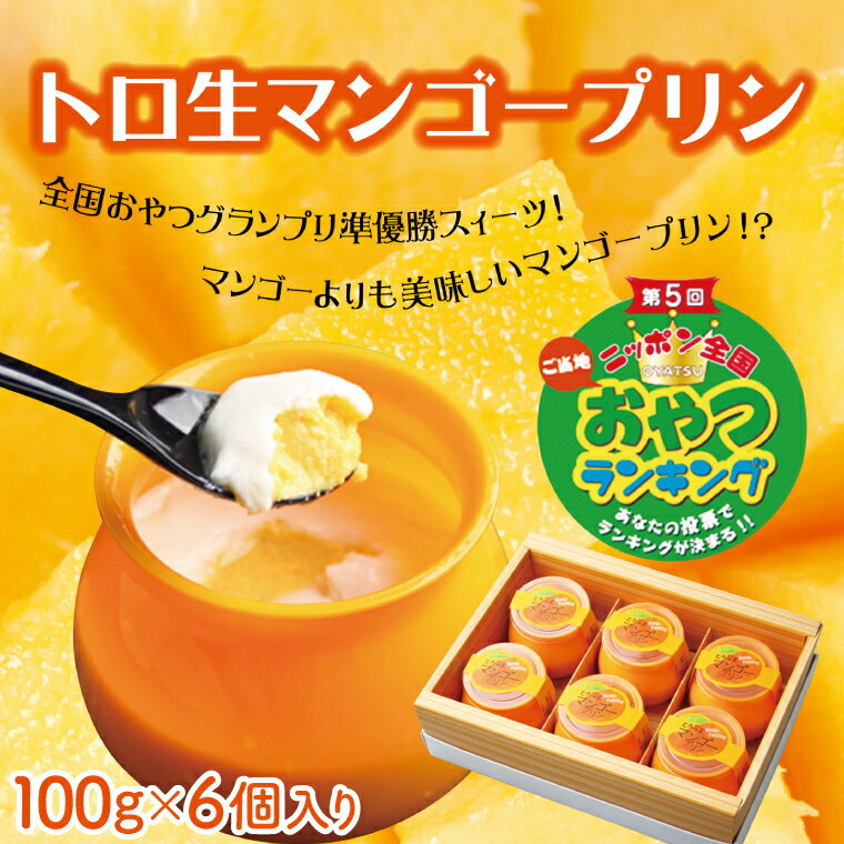 トロ生マンゴープリン(100g×6個入り)(AC016-1)