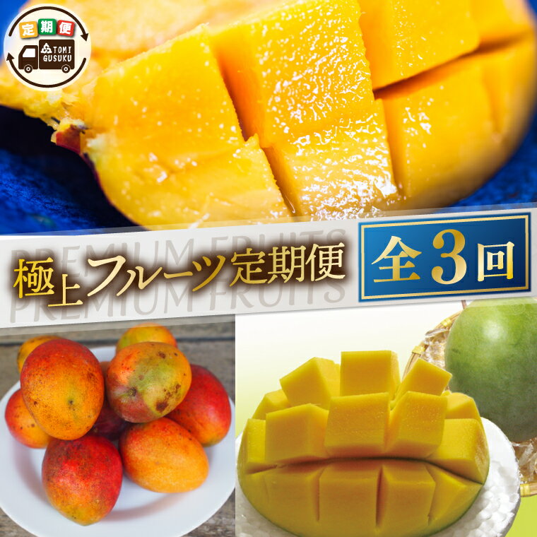 【先行予約】【2026年6月より順次発送】【3ヶ月定期便】豊見城 極上フルーツ定期便(6・7・8月コース)｜フルーツ くだもの 果物 マンゴー アップルマンゴー キーツマンゴー 名護パイン園 定期便 フルーツ定期便 先行予約 沖縄県 豊見城市(AC022)
