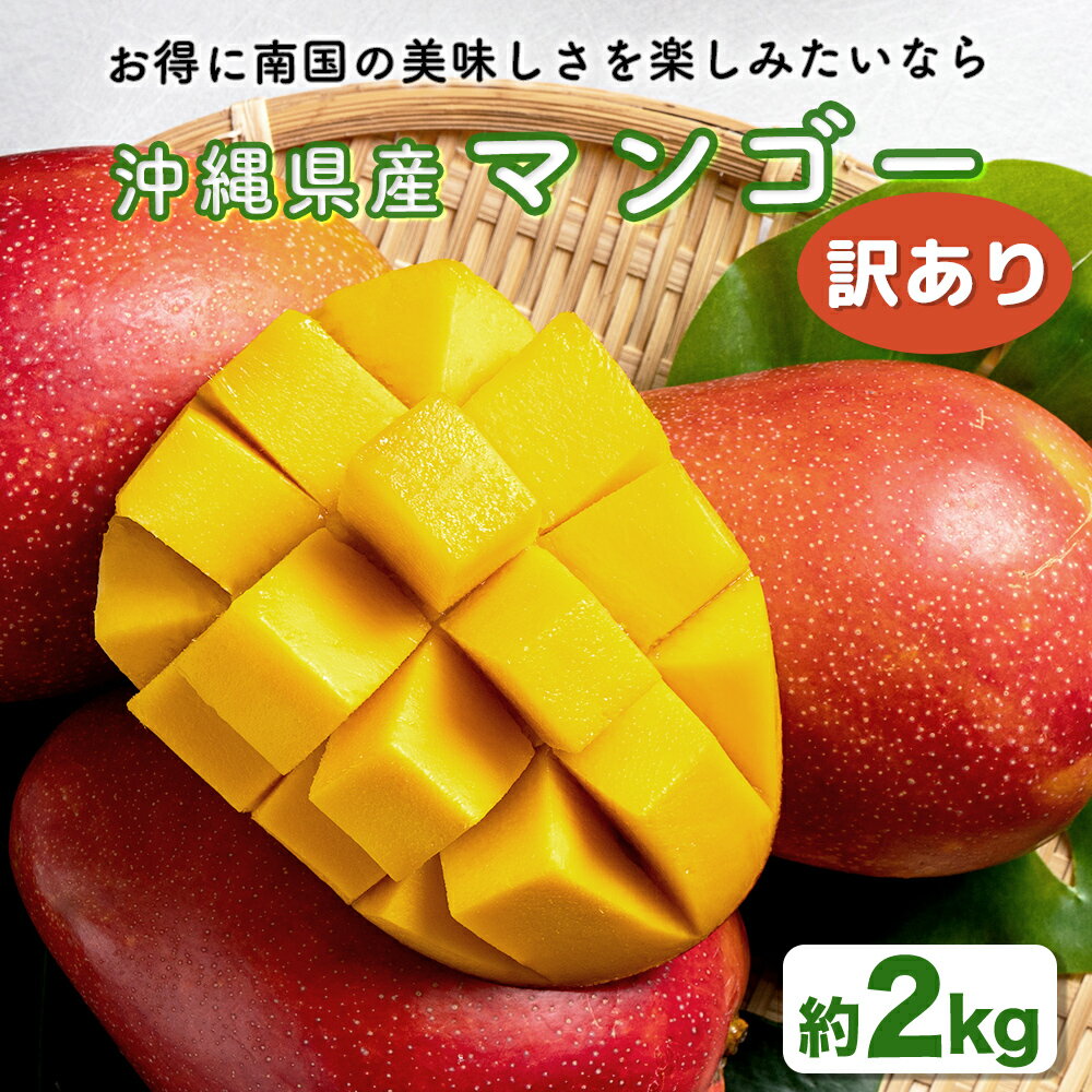 【 先行予約 2026年発送 】ハナトフルーツ 沖縄県産 訳ありマンゴー2kg マンゴー 沖縄 うるま市 フルーツ 果物 産地直送 プレゼント 贈り物 国産 お取り寄せ 訳あり