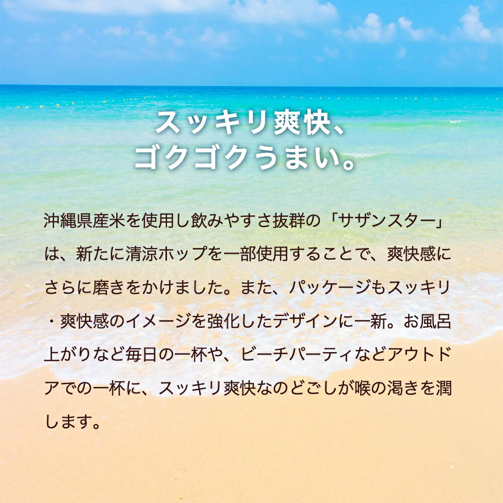 【ふるさと納税】オリオンビール サザンスター（350ml×24缶）☆ オリオン ビール サザンスター 350ミリリットル 24缶 ふるさと納税 沖縄県 うるま市 サムネイル2