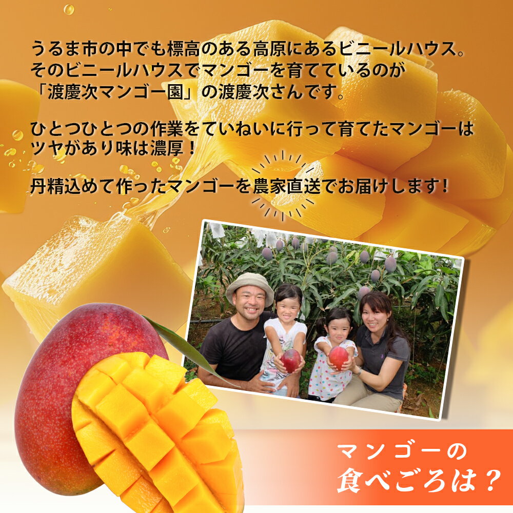 【ふるさと納税】【 先行予約 2026年発送 】完熟マンゴー 2kgマンゴー 2キロ 国産 果物 南国 くだもの フルーツ 完熟 夏 旬 特産品 沖縄 取り寄せ 産地直送 農家直送 甘い 濃厚 沖縄県 うるま市 渡慶次マンゴー サムネイル2