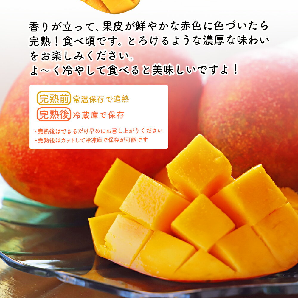 【ふるさと納税】【 先行予約 2026年発送 】完熟マンゴー 2kgマンゴー 2キロ 国産 果物 南国 くだもの フルーツ 完熟 夏 旬 特産品 沖縄 取り寄せ 産地直送 農家直送 甘い 濃厚 沖縄県 うるま市 渡慶次マンゴー サムネイル3