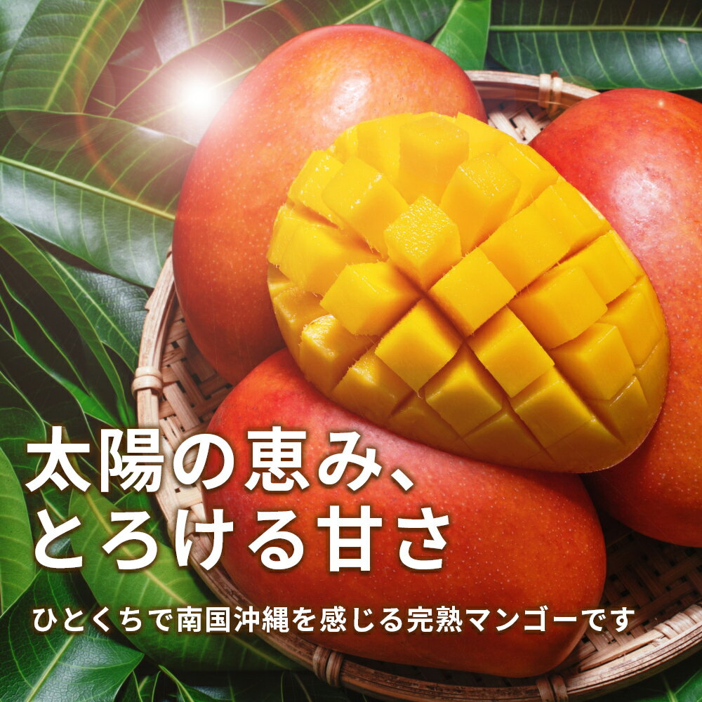 【ふるさと納税】訳ありマンゴー 2kg【 先行予約 2026年発送 】マンゴー 濃厚 甘い ジューシー 南国 フルーツ 果物 産地直送 訳あり 国産 お取り寄せ 沖縄 うるま市 サムネイル3