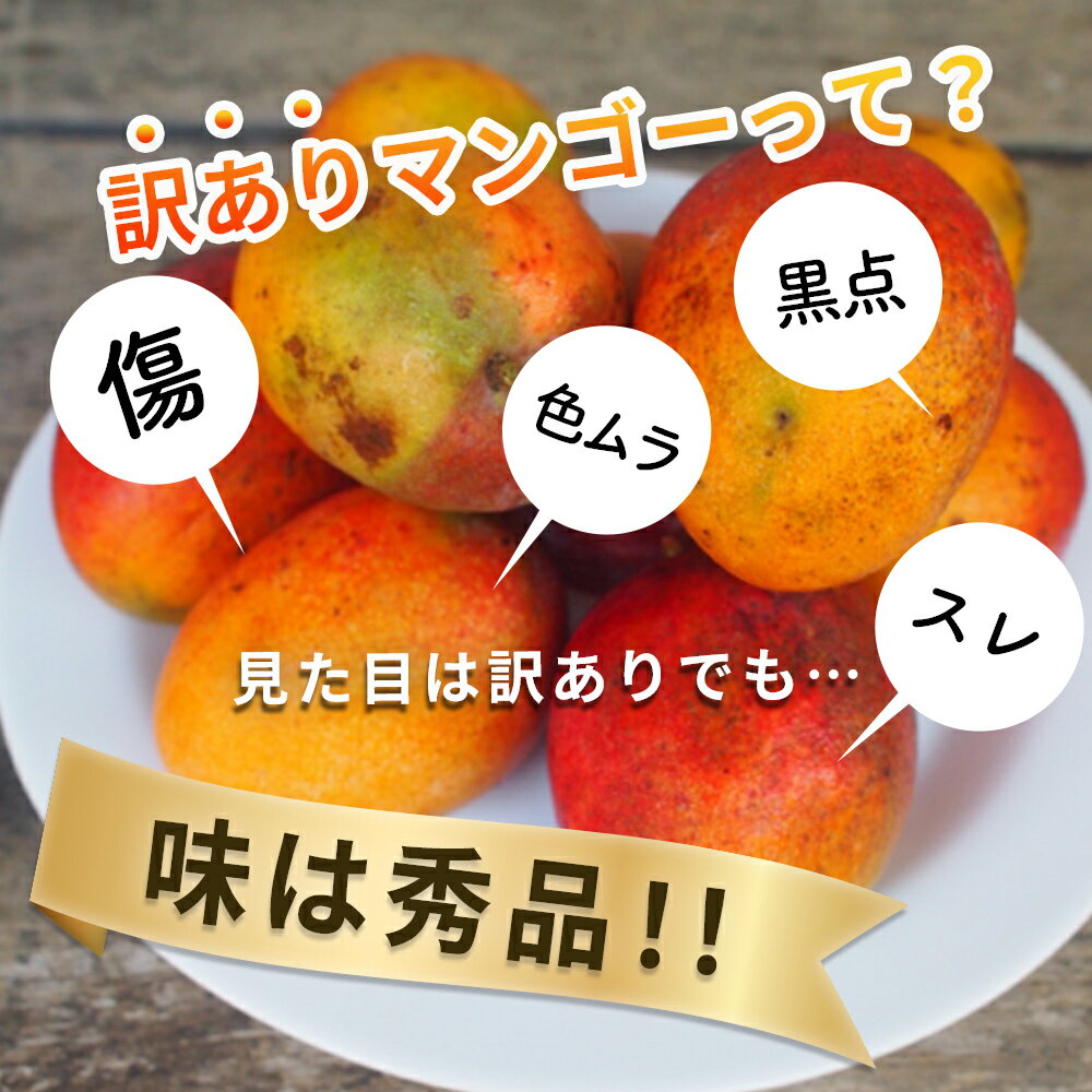 【ふるさと納税】訳ありマンゴー 2kg【 先行予約 2026年発送 】マンゴー 濃厚 甘い ジューシー 南国 フルーツ 果物 産地直送 訳あり 国産 お取り寄せ 沖縄 うるま市 サムネイル2