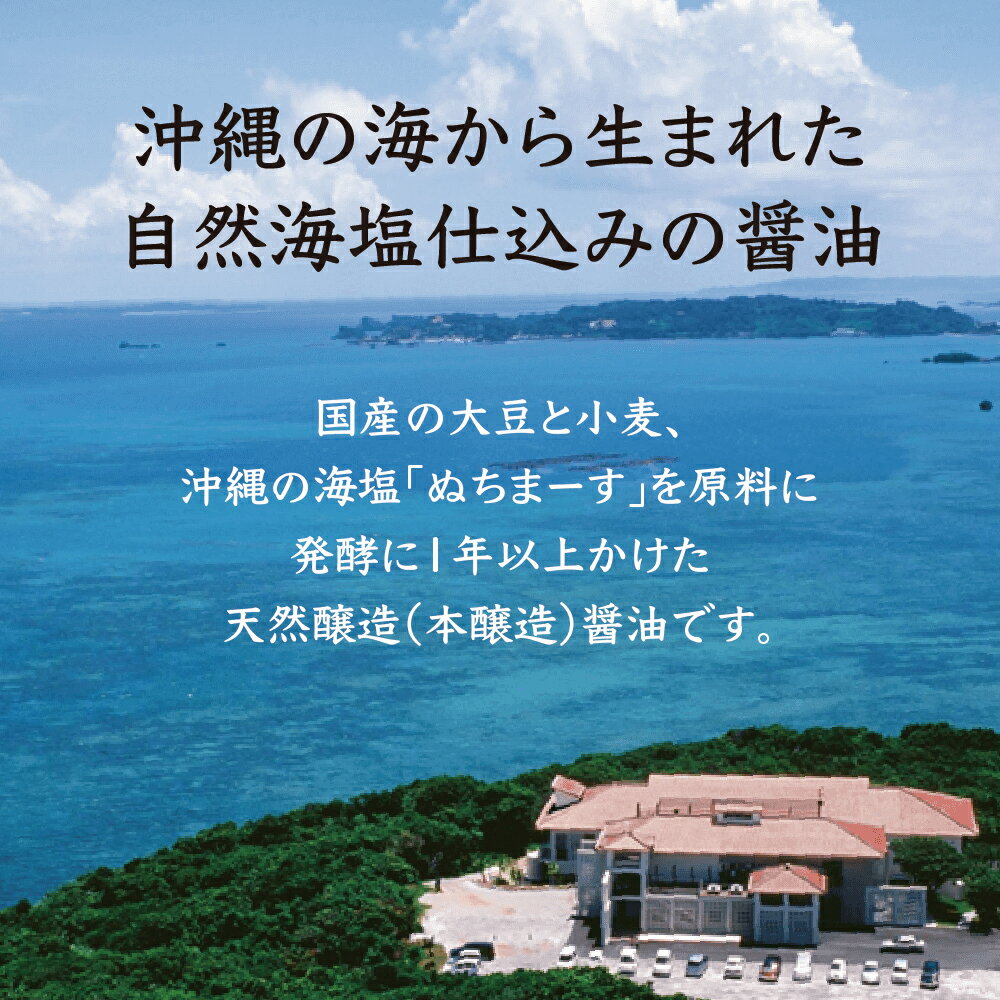 【ふるさと納税】沖縄の海塩「ぬちまーす」仕込み「ぬちまーす醤油」×12本セット 醤油 しょうゆ ぬちまーす 沖縄 海塩 セット うるま市 サムネイル2