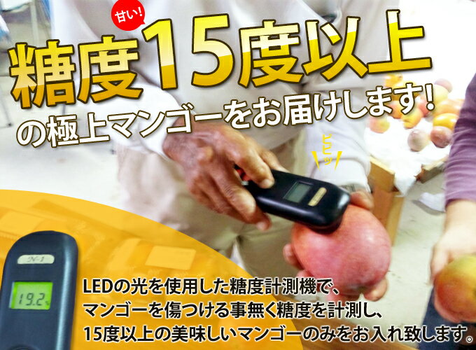 【ふるさと納税】【 先行予約 2026年発送 】秀品 1kg 沖縄県産 マンゴー 1キロ 国産 完熟マンゴー 果物 南国 くだもの フルーツ 完熟 夏 旬 特産品 沖縄 取り寄せ 産地直送 農家直送 甘い 濃厚 うるま市 マンゴラン サムネイル2