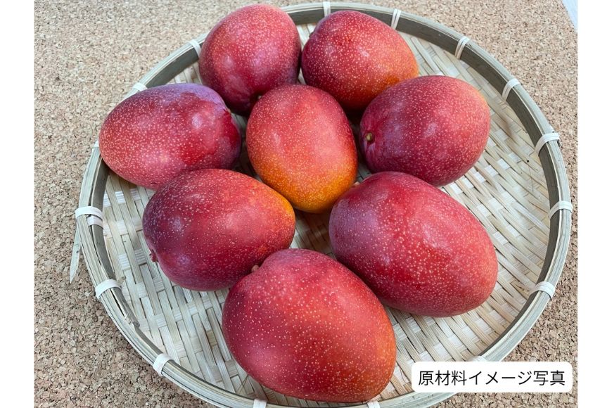 【ふるさと納税】宮古島ドライマンゴー （4袋入り） | 添加物不使用 アップルマンゴー 無添加 加工品 ドライフルーツ マンゴー ご当地 人気 おすすめ 沖縄 宮古島(HM03) サムネイル3