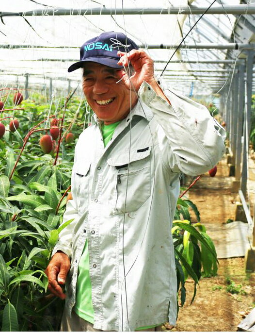 【ふるさと納税】《先行予約》宮古島産 マンゴーセット｜アーウィン＆キーツ｜フルーツ定期便 全2回＜琉球マルシェ＞ | フルーツ 果物 マンゴー アーウィン キーツ 食べ比べ セット 詰め合わせ 人気 おすすめ 沖縄 宮古島(AR219） サムネイル3