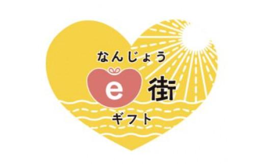電子商品券 なんじょうe街ギフト（3,000円分）