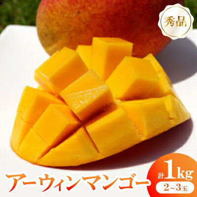 【2026年6月から順次発送】秀品アーウィンマンゴー1kg(2～3玉)【配送不可地域：離島】【1577567】