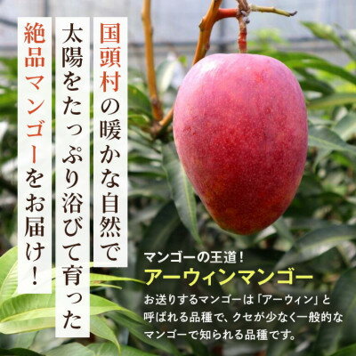 【ふるさと納税】【2026年6月から順次発送】秀品アーウィンマンゴー1kg(2～3玉)【配送不可地域：離島】【1577567】 サムネイル2