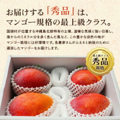 【ふるさと納税】【2026年6月から順次発送】秀品アーウィンマンゴー1kg(2～3玉)【配送不可地域：離島】【1577567】 サムネイル3