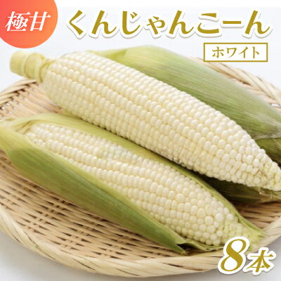 【2026年4～5月頃順次発送】春獲れ一番!極甘くんじゃんこーん ホワイト 8本 とうもろこし【配送不可地域：離島】【1578629】