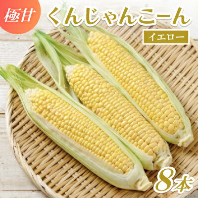 【2026年4～5月頃順次発送】春獲れ一番!極甘くんじゃんこーん 8本 とうもろこし【配送不可地域：離島】【1578836】
