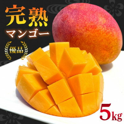 【2026年6月から順次発送】優品アーウィンマンゴー5kg(8～12玉)【配送不可地域：離島】【1584603】