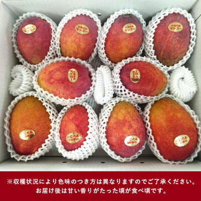 【ふるさと納税】【2026年6月から順次発送】優品アーウィンマンゴー5kg(8～12玉)【配送不可地域：離島】【1584603】 サムネイル2