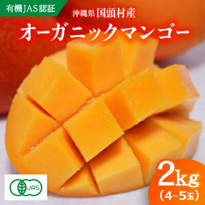 【2026年7月上旬から順次発送・有機JAS認証】オーガニックマンゴー2kg(4～5玉)【配送不可地域：離島】【1589198】
