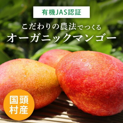 【ふるさと納税】【2026年7月上旬から順次発送・有機JAS認証】オーガニックマンゴー2kg(4～5玉)【配送不可地域：離島】【1589198】 サムネイル2