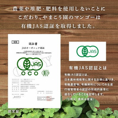 【ふるさと納税】【2026年7月上旬から順次発送・有機JAS認証】オーガニックマンゴー2kg(4～5玉)【配送不可地域：離島】【1589198】 サムネイル3