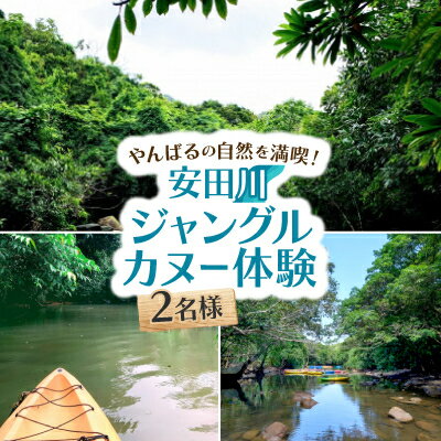 【ふるさと納税】やんばるの自然を満喫!安田川ジャングルカヌー体験チケット2名様【1606644】