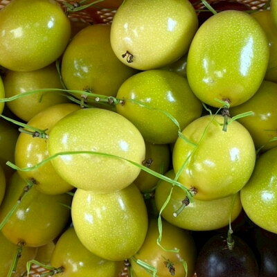 【ふるさと納税】【2025年12月から順次発送】国頭村産パッションフルーツ イエロークイーン 1kg(5～7玉)【1662107】 サムネイル3