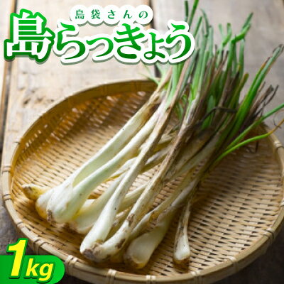 【2026年5月上旬から順次発送】農家直送!国頭村・島袋さんの採れたて島らっきょう 1kg【1672232】