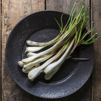 【ふるさと納税】【2026年5月上旬から順次発送】農家直送!国頭村・島袋さんの採れたて島らっきょう 1kg【1672232】 - 画像3